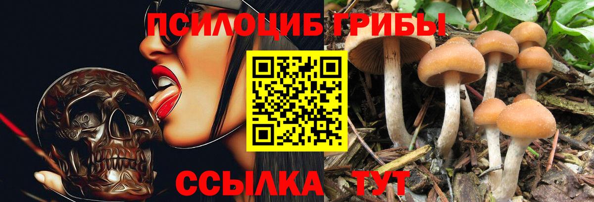 Псилоцибиновые грибы GOLDEN TEACHER Верхний Уфалей