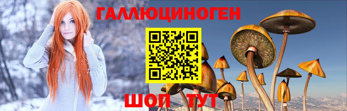 Псилоцибиновые грибы мицелий  Вход с VPN  Верхний Уфалей 